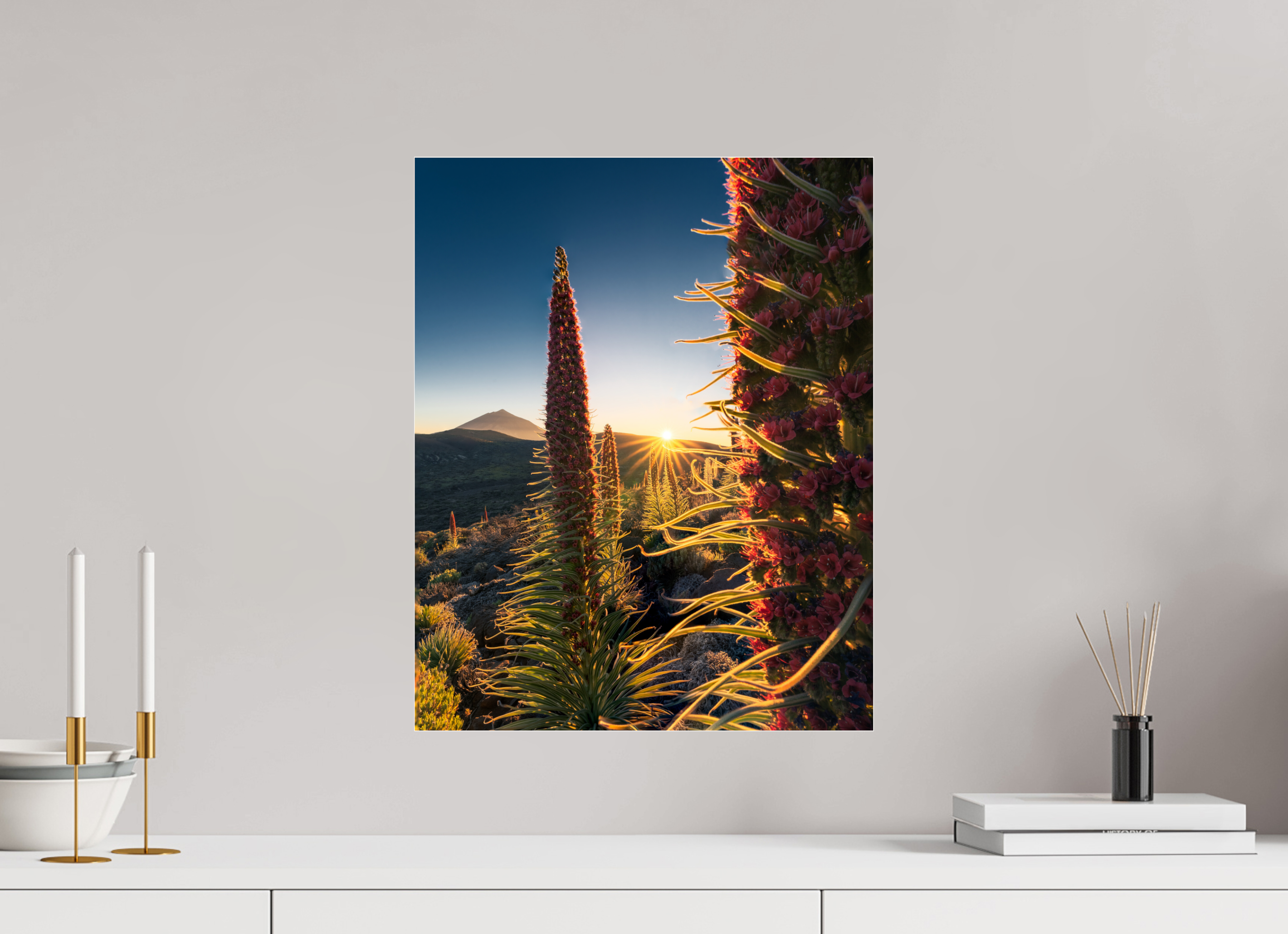 40 x 50 cm, Shot by Nau — Metacrilato brillante Primera luz