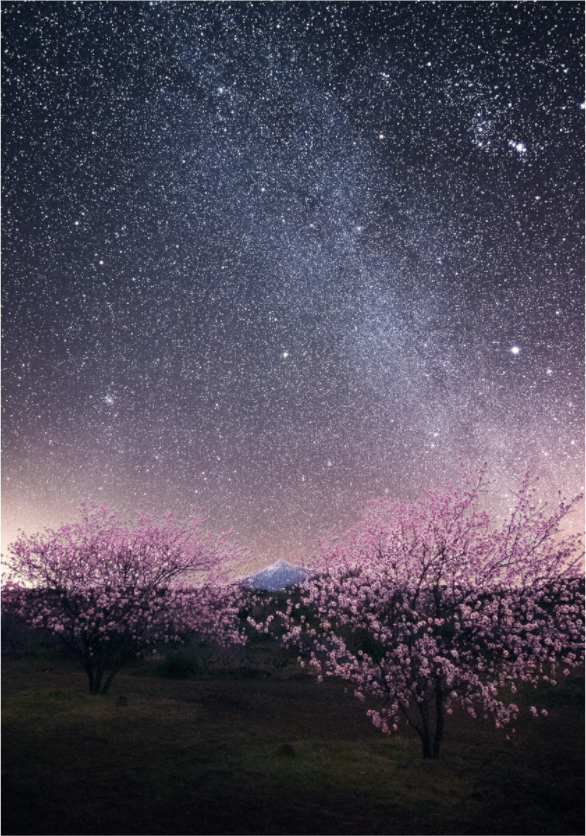 Main image Bajo las estrellas — 70 × 100 cm