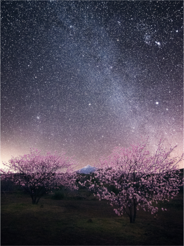 Main image Bajo las estrellas — 30 × 40 cm