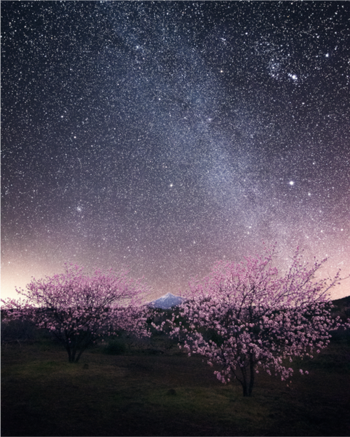 Main image Bajo las estrellas