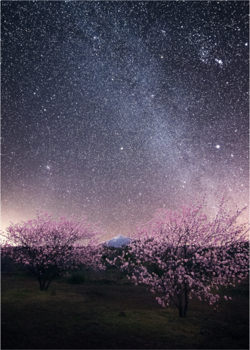 Main image Bajo las estrellas — 50 × 70 cm